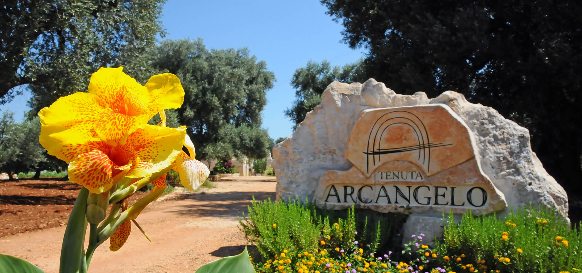 Tenuta Arcangelo | Masseria Pezze Sant’angelo | Ceglie Messapica | Puglia